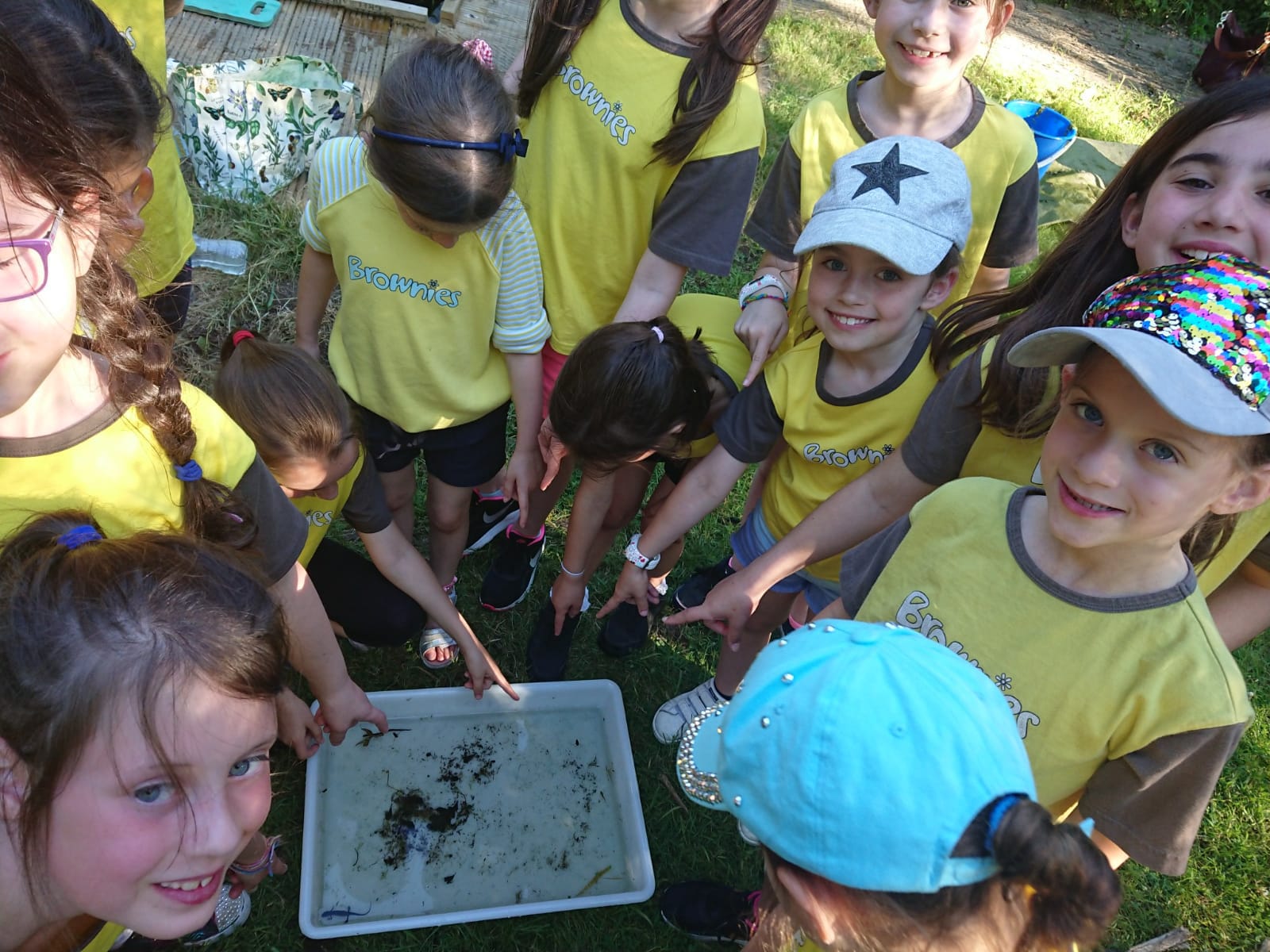 Brownies go Pond Dipping at the Environmental Centre June 2018
