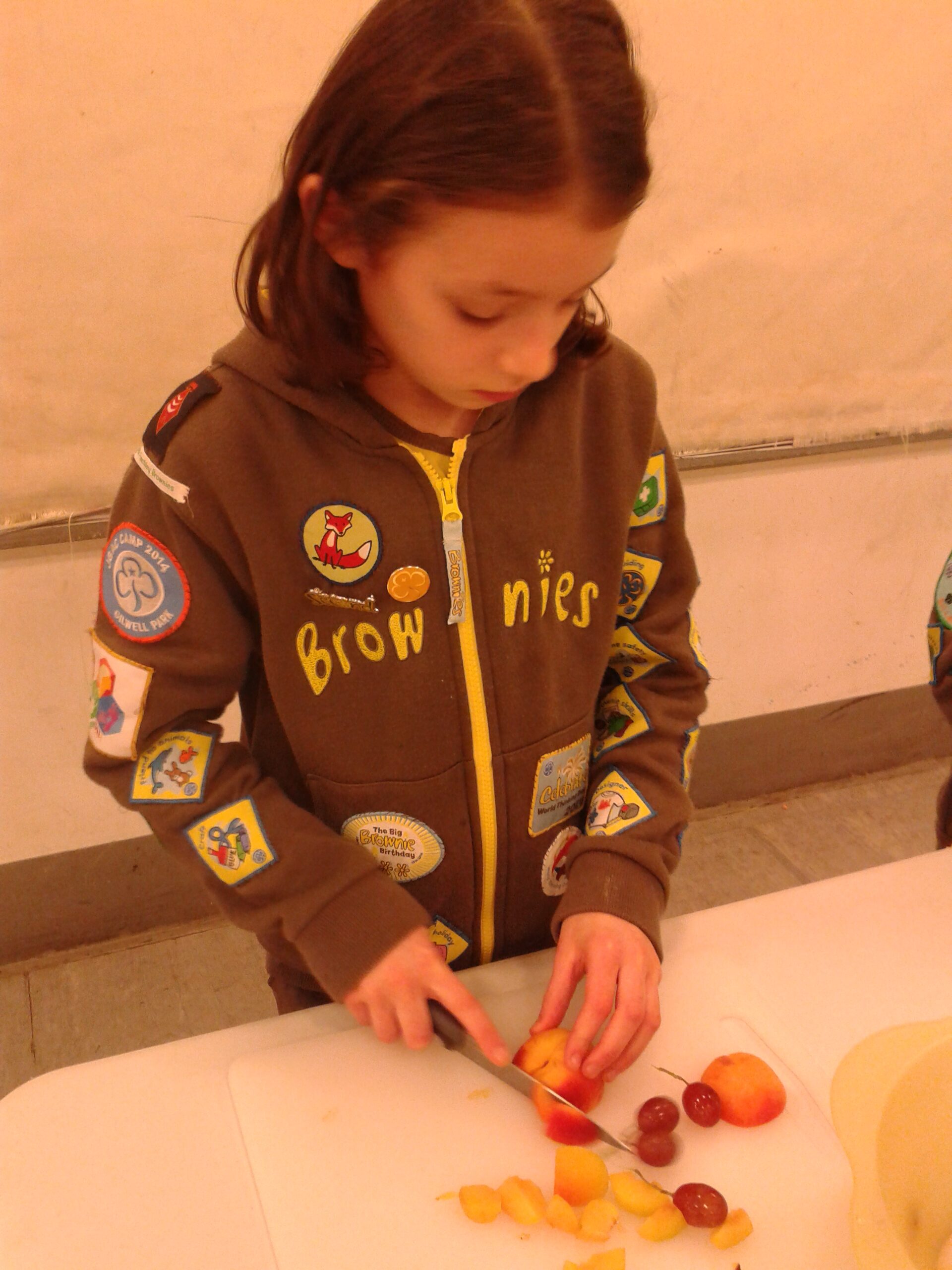 Brownies on Tu B'Shevat Jan 2016