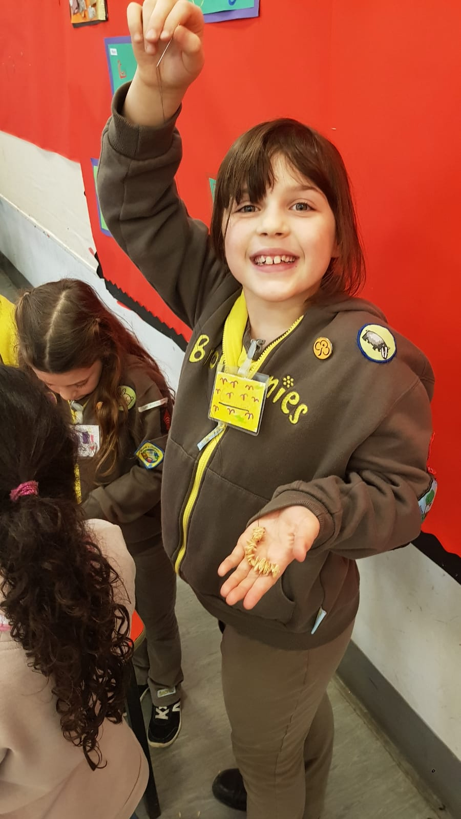 Brownies on Tu B'Shevat Jan 2019