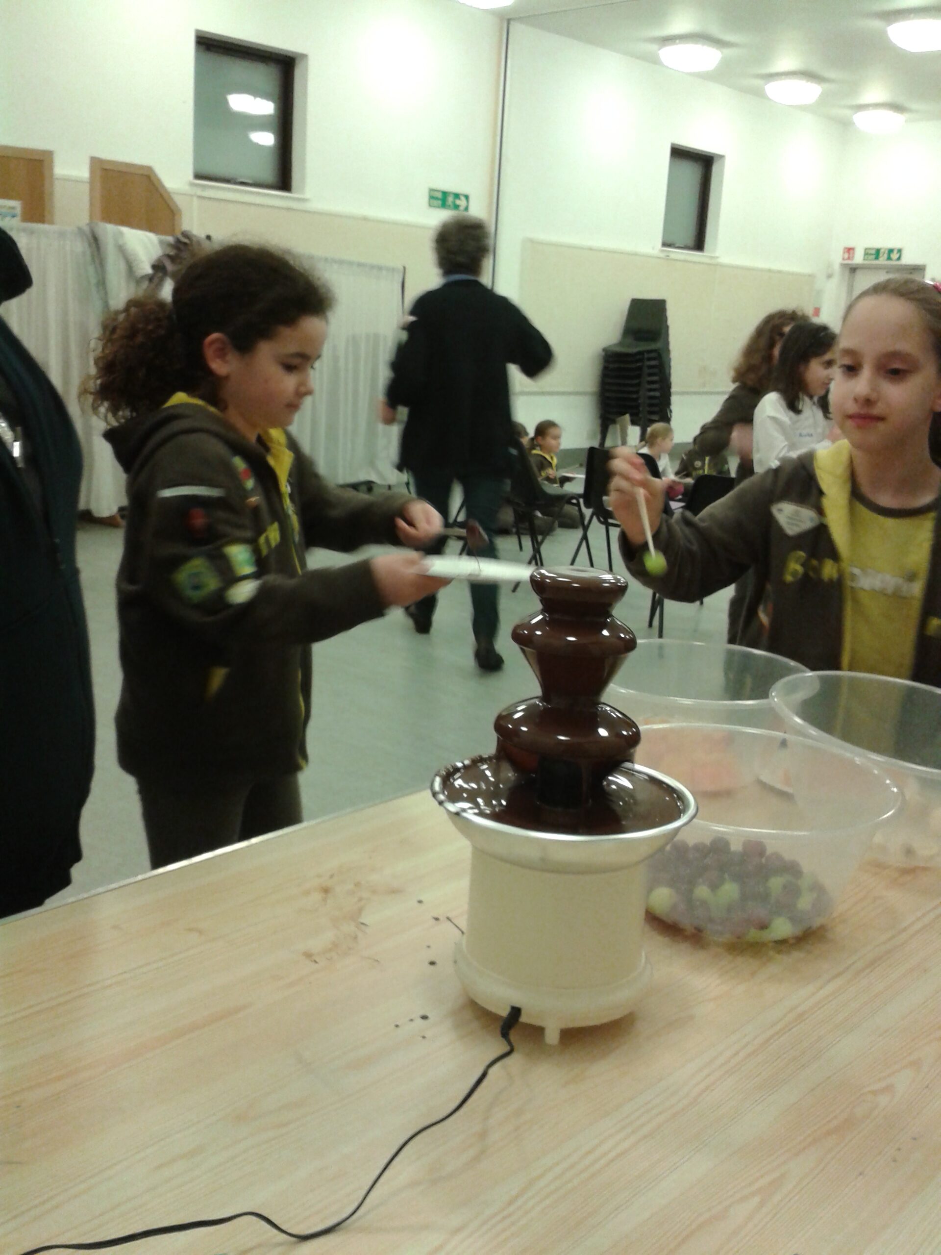 Brownies on Tu B'Shevat 2014