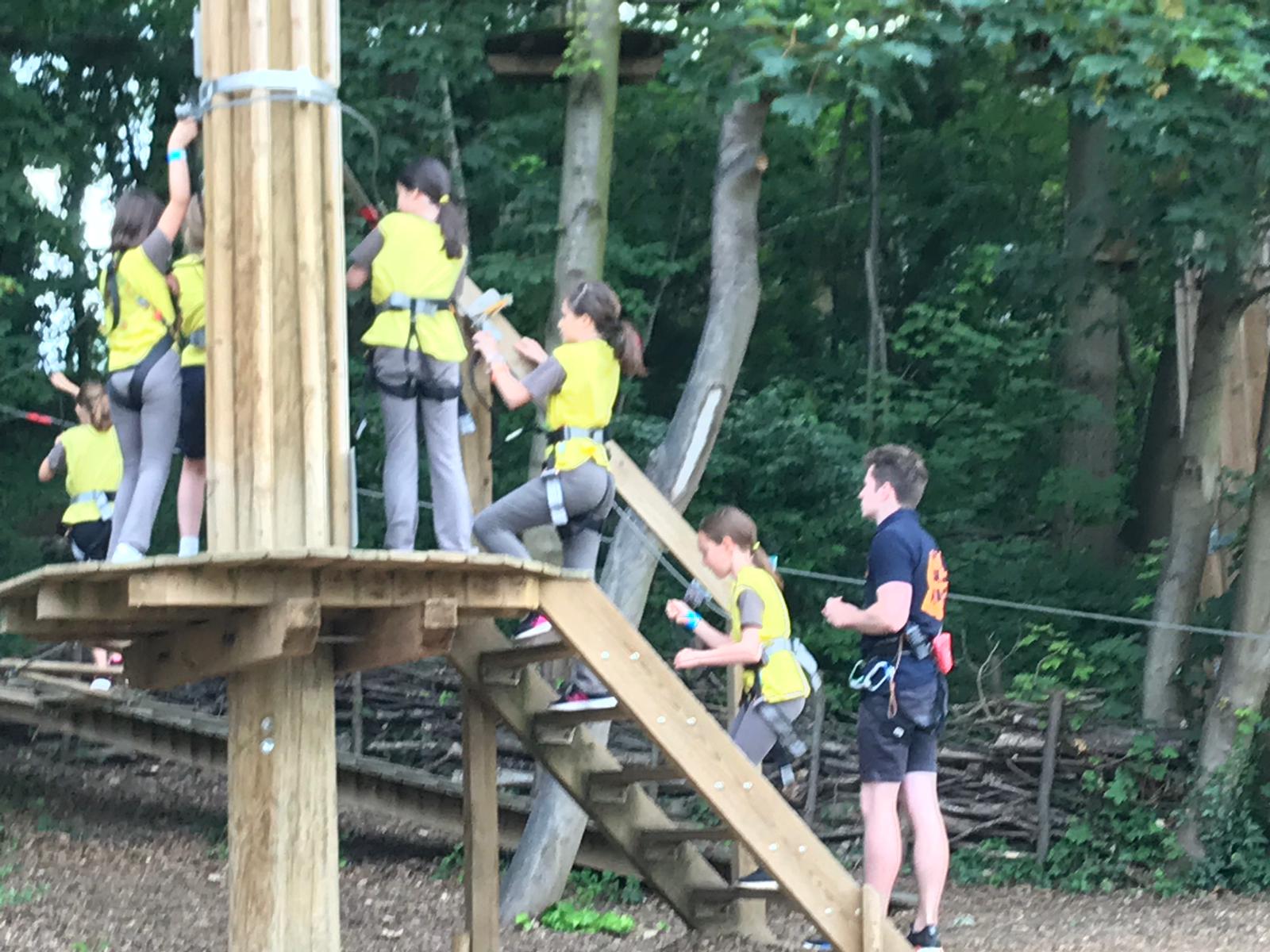 Brownies Go Ape
