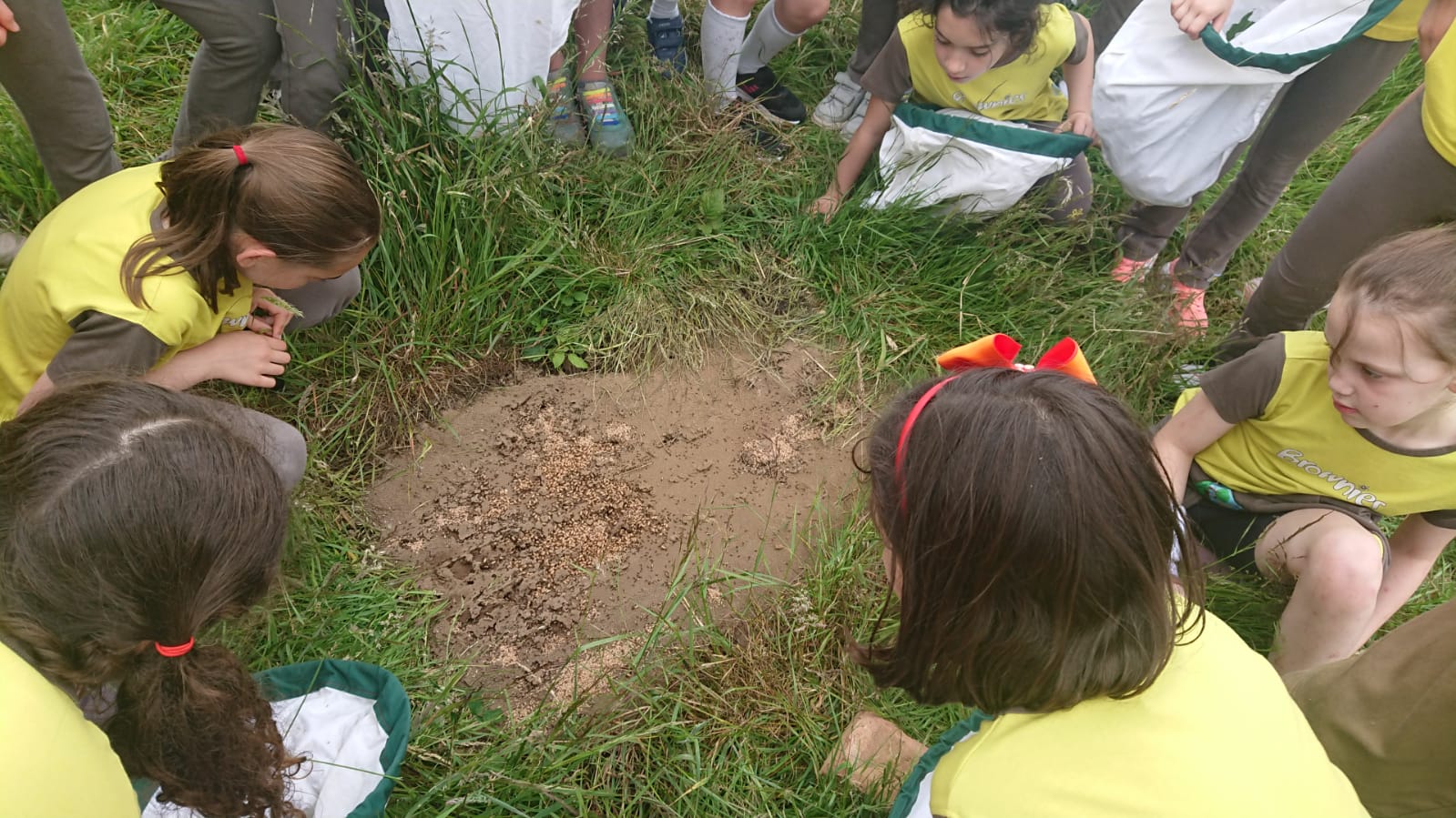 Brownies at the Environmental Centre