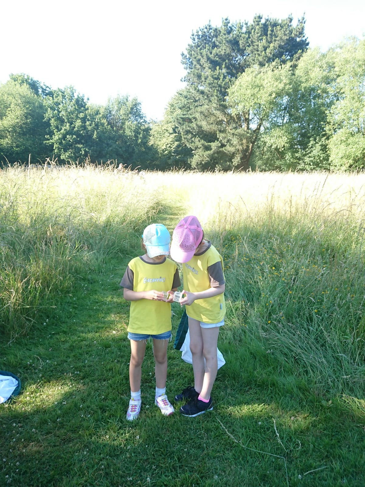 Brownies go Pond Dipping at the Environmental Centre June 2018