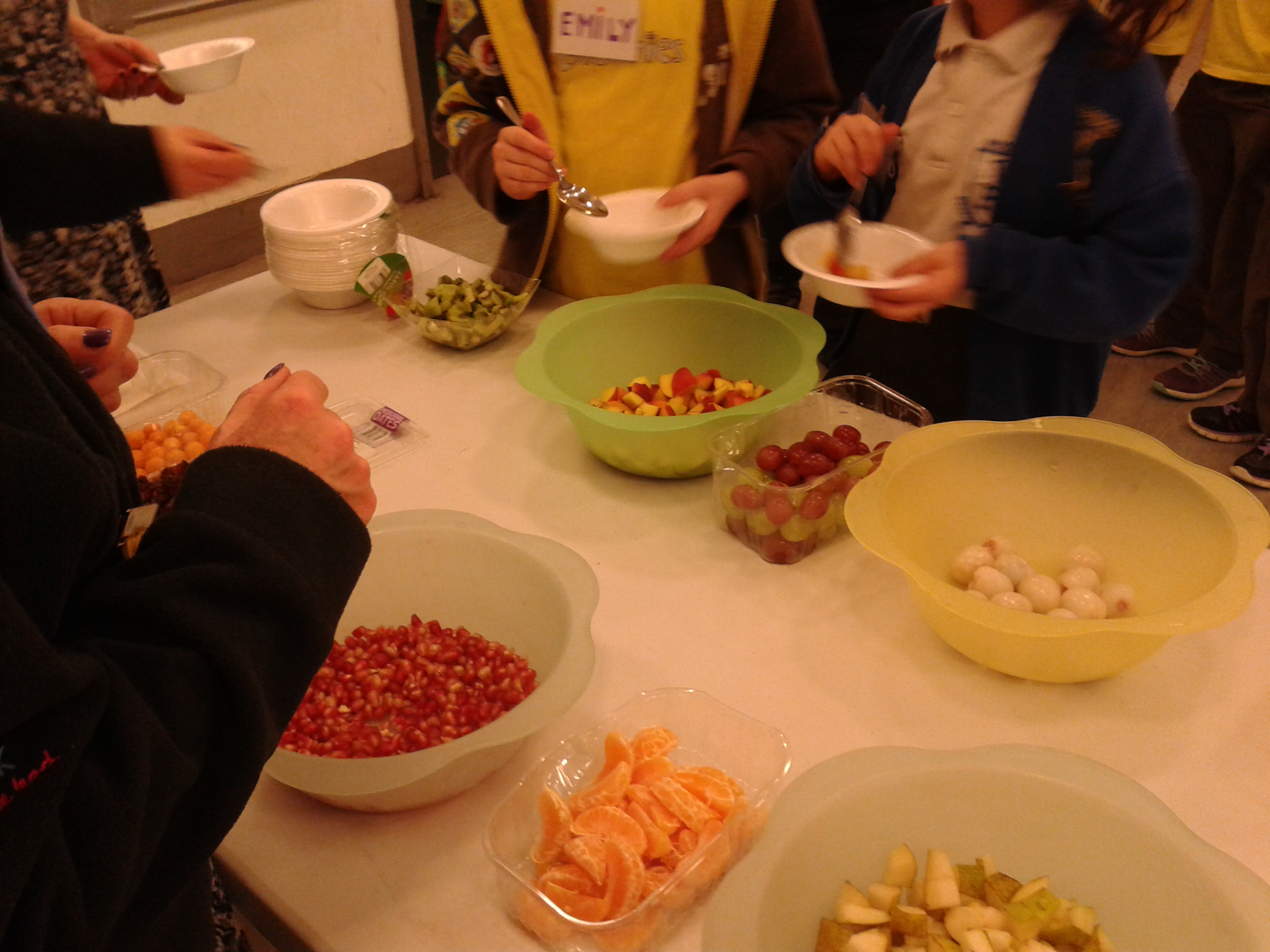 Brownies on Tu B'Shevat Jan 2016