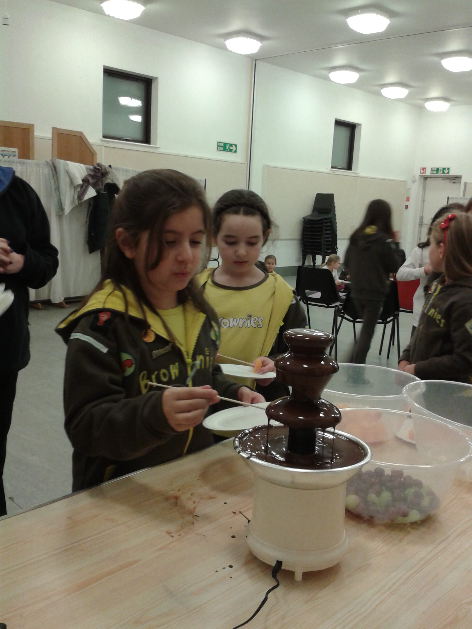 Brownies on Tu B'Shevat 2014
