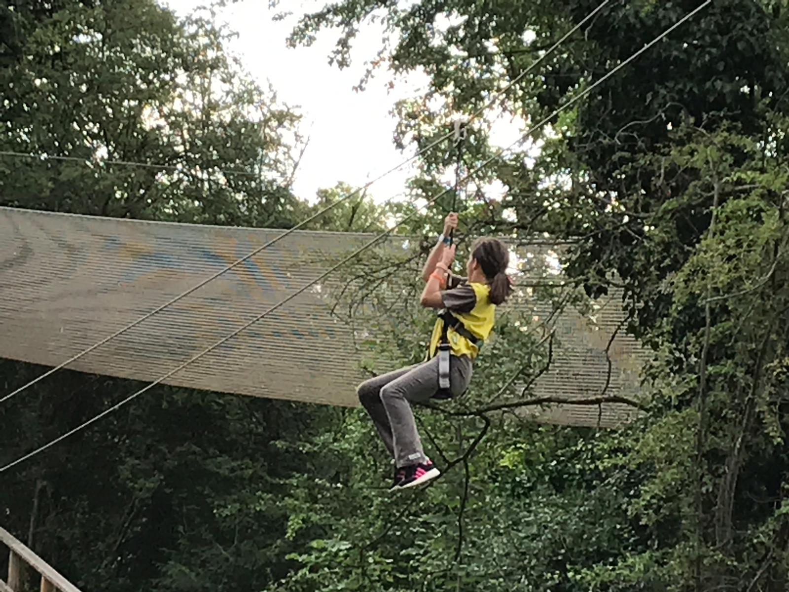 Brownies Go Ape