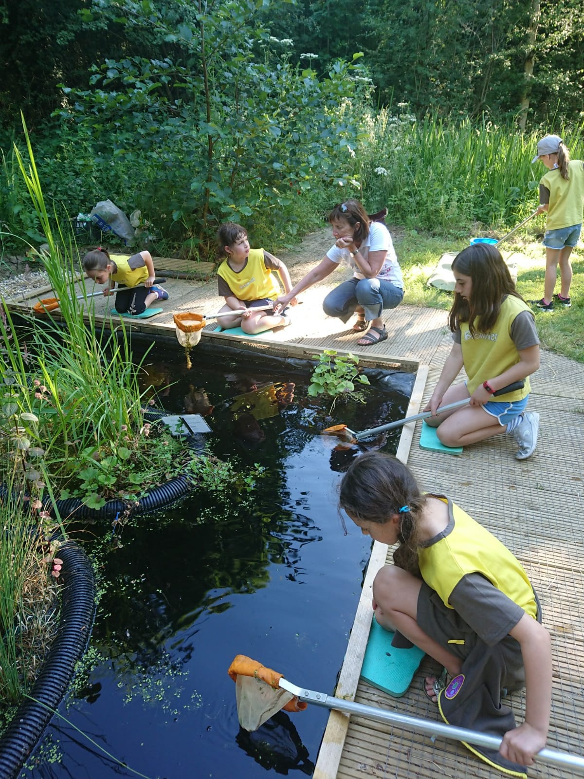 Brownies go Pond Dipping at the Environmental Centre June 2018