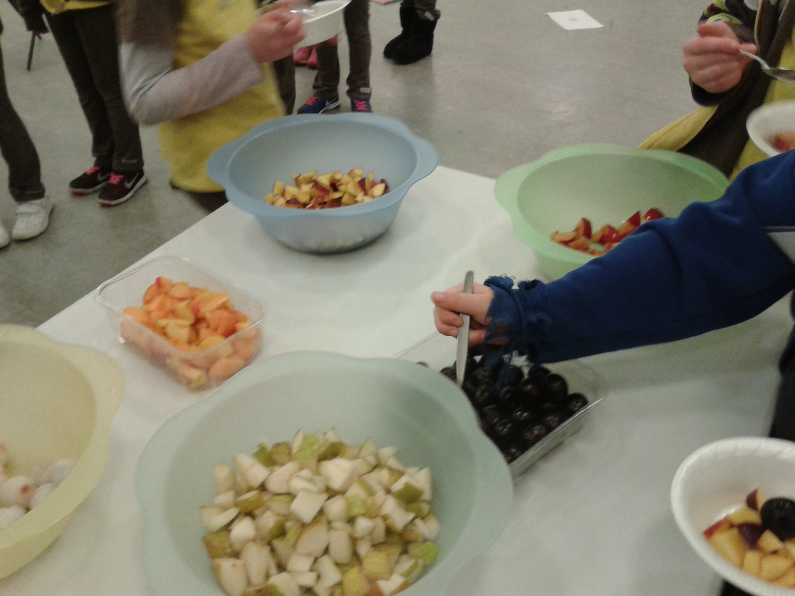 Brownies on Tu B'Shevat Jan 2016