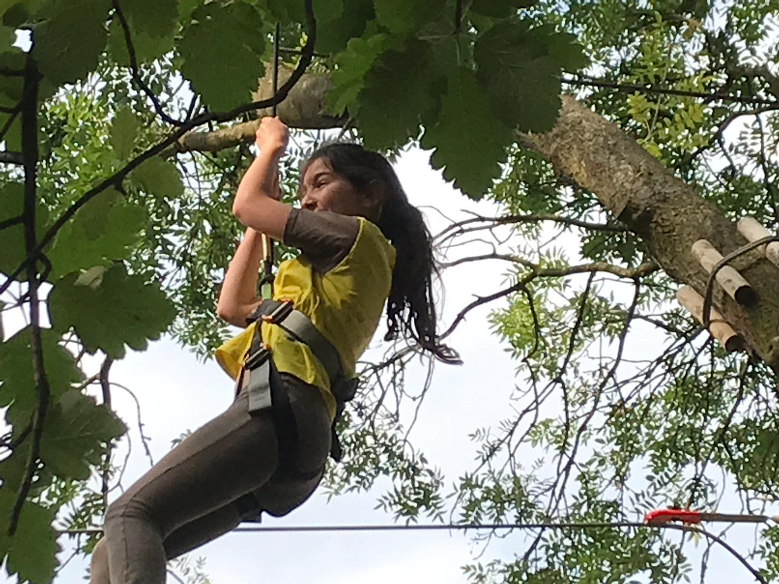 Brownies Go Ape