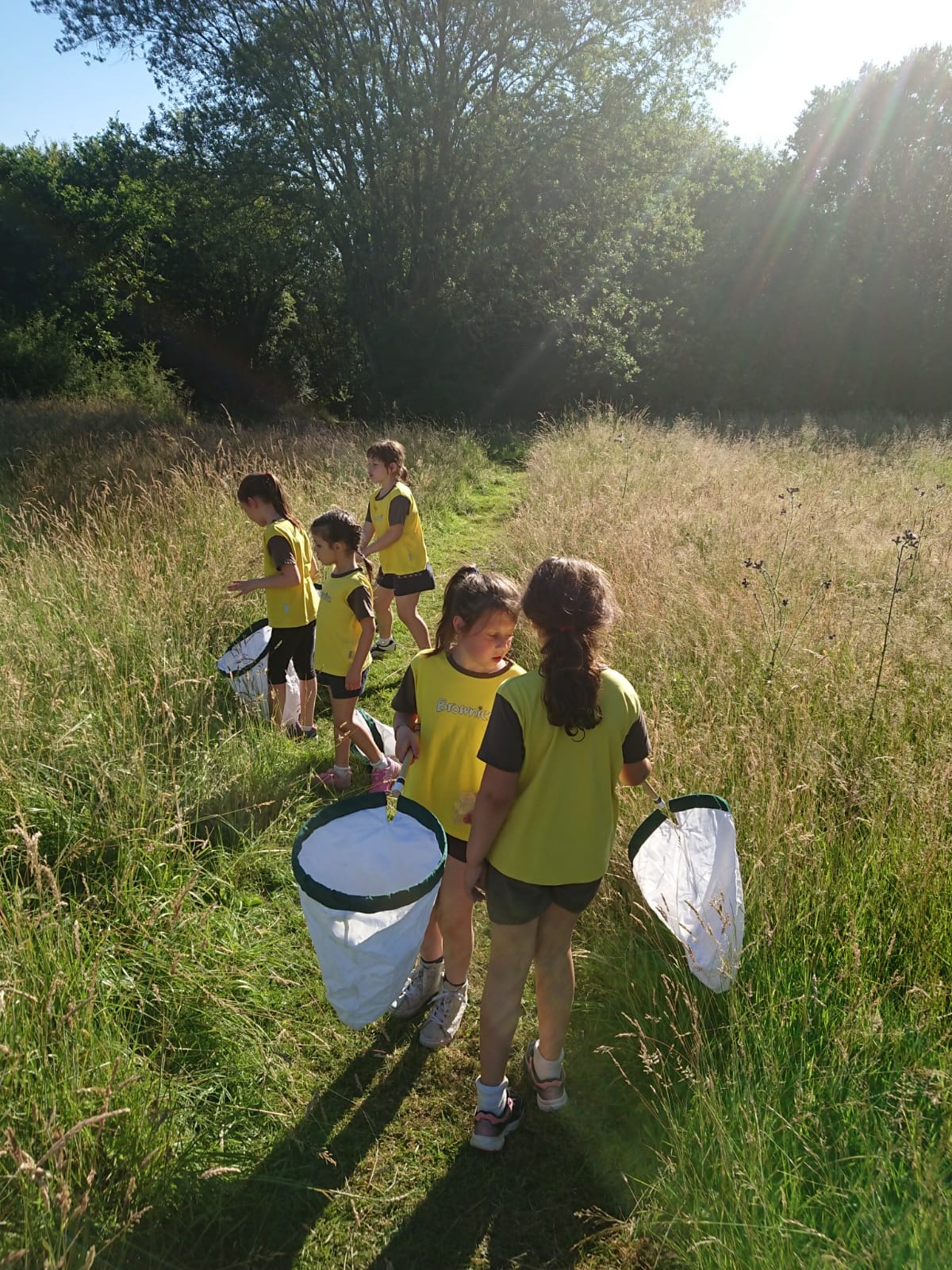 Brownies go Pond Dipping at the Environmental Centre June 2018