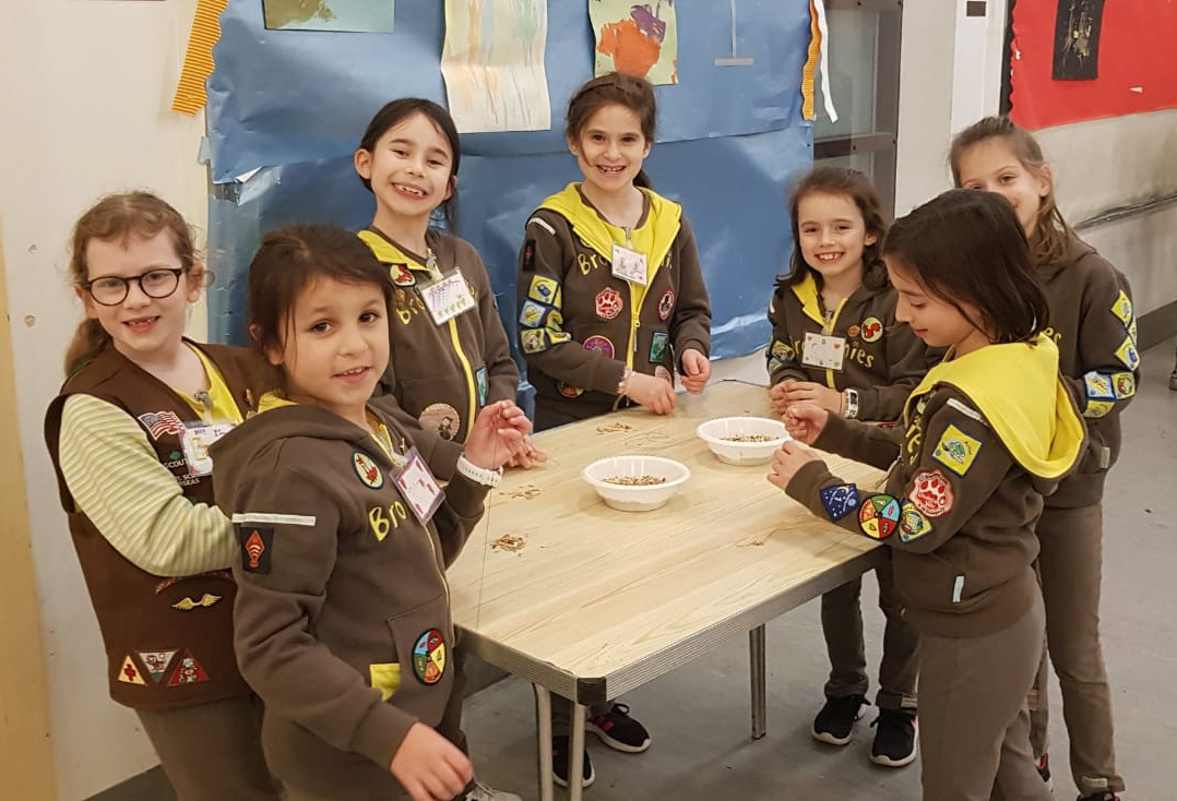 Brownies on Tu B'Shevat Jan 2019