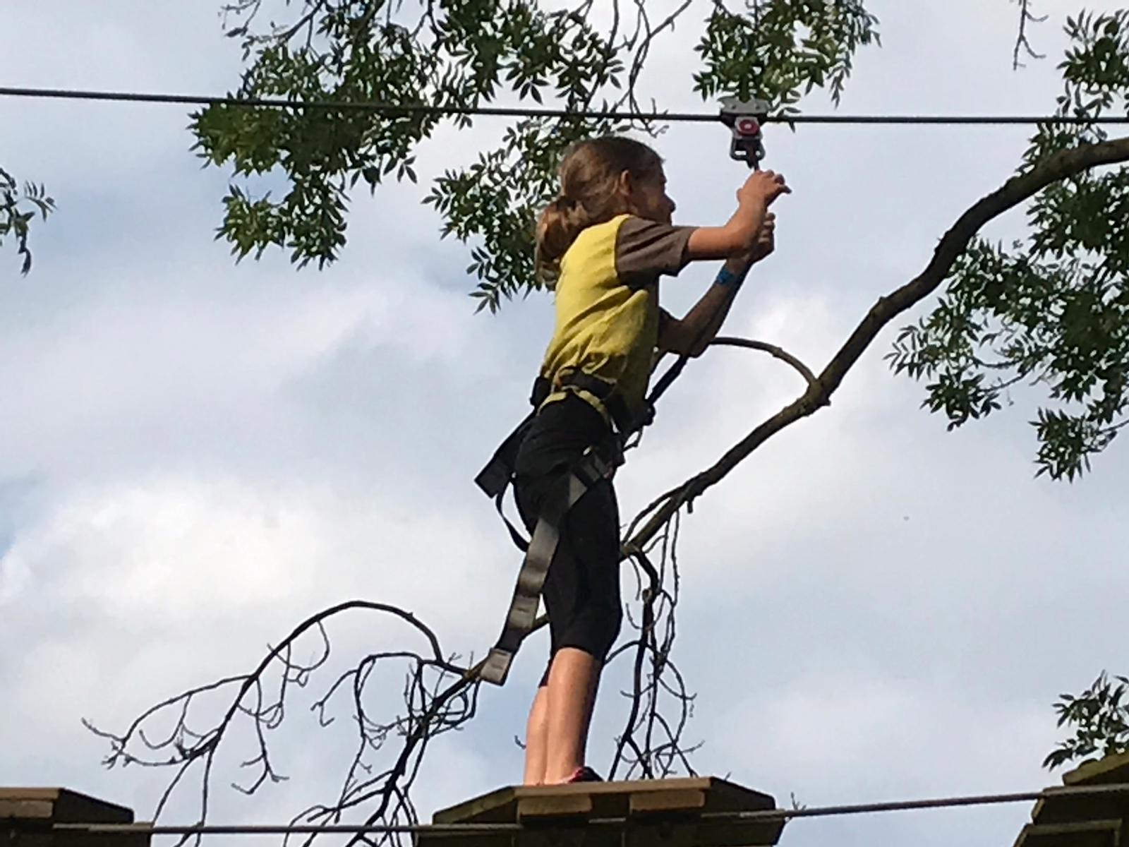 Brownies Go Ape