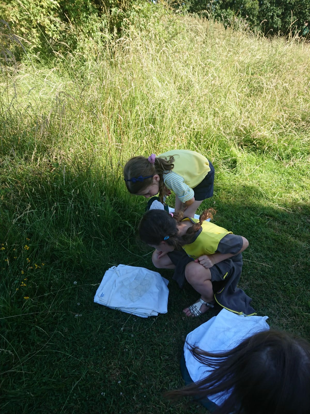 Brownies go Pond Dipping at the Environmental Centre June 2018