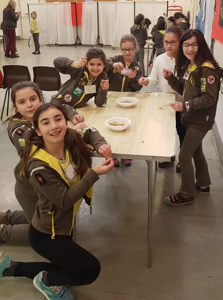 Brownies on Tu B'Shevat Jan 2019