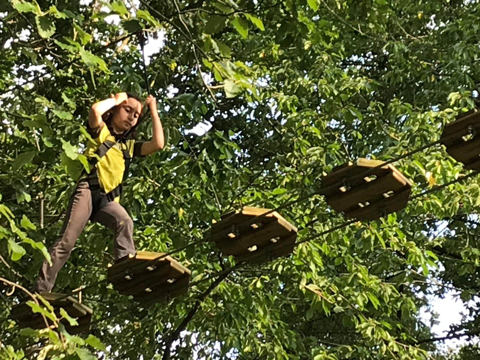 Brownies Go Ape