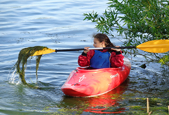 Brownies Kayaking