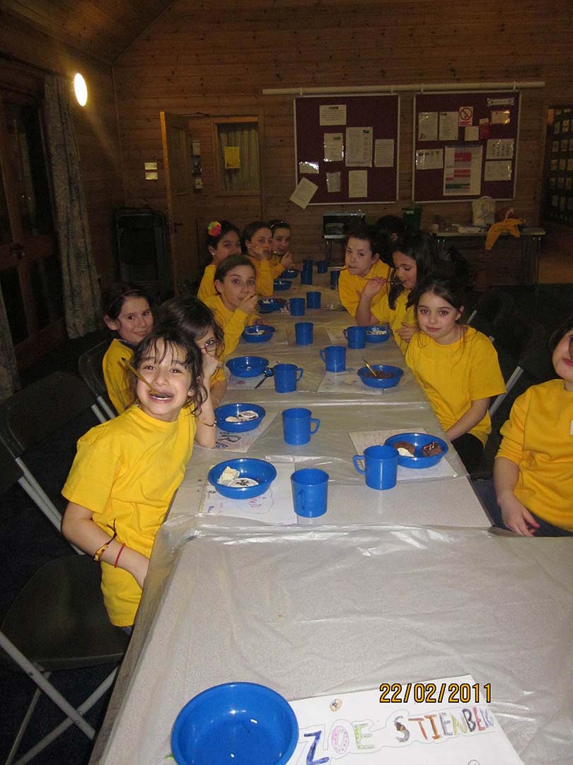 Brownies at Camp