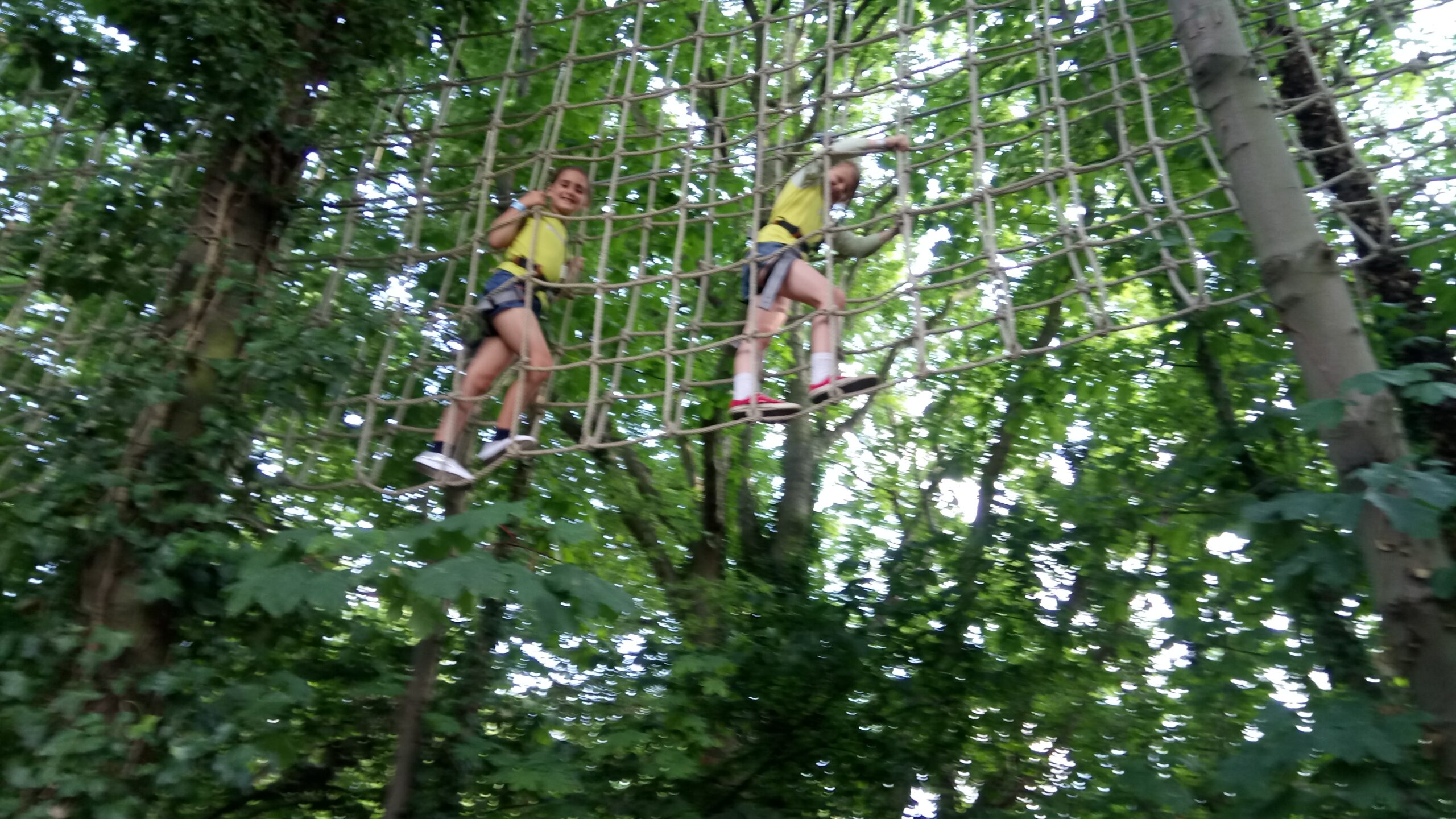 Brownies Go Ape July 2017