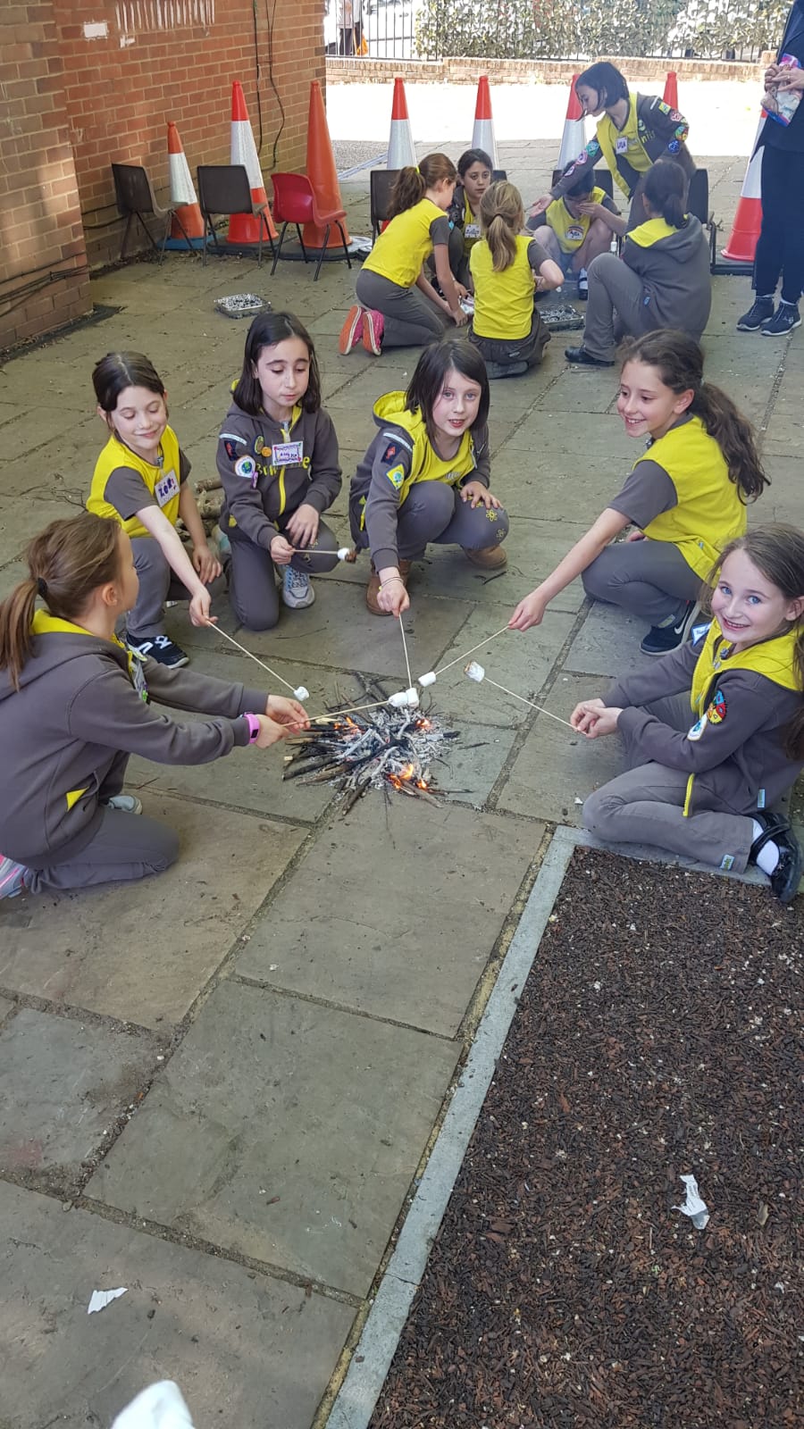Brownies Lighting a Fire and Melting Marshmallows
