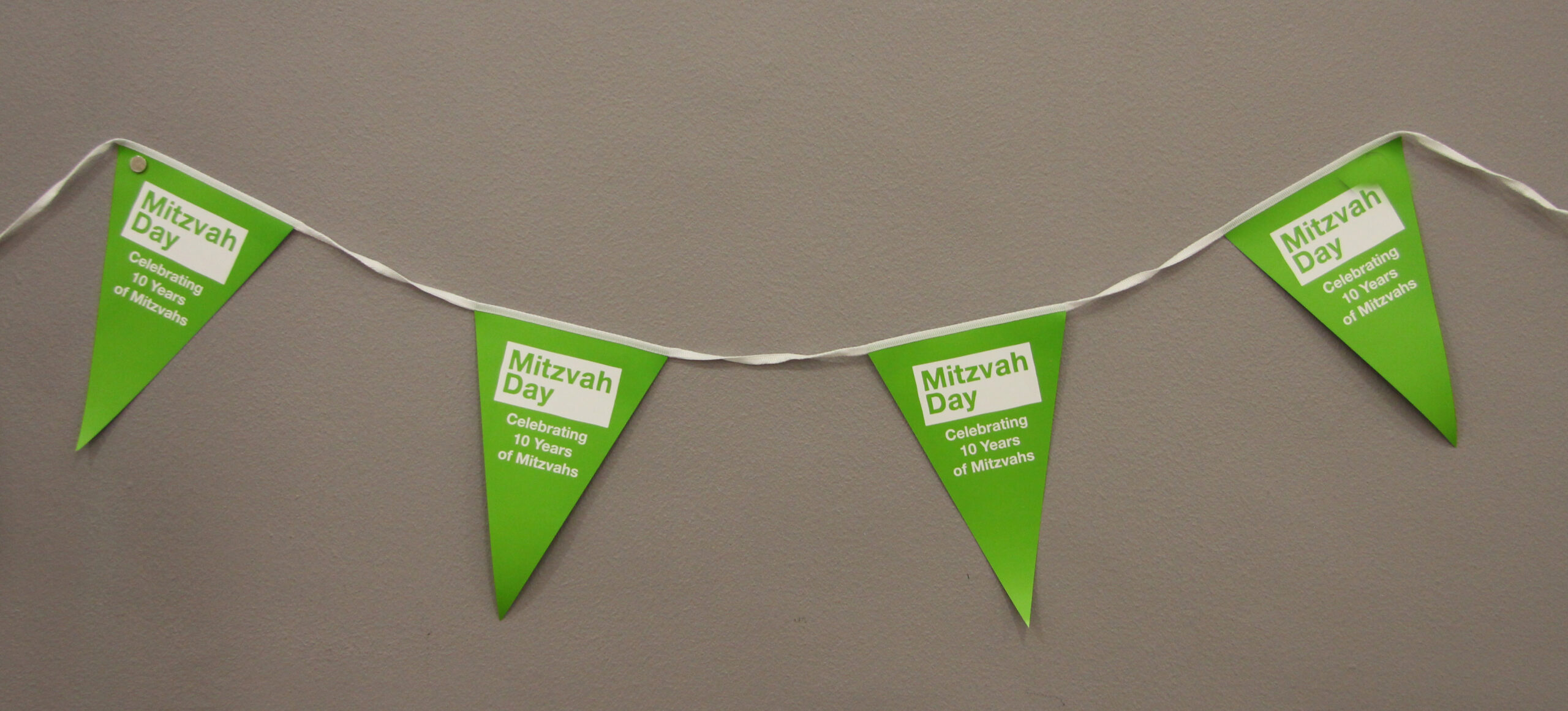 Mitzvah day 2018