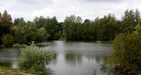 This page introduces Woodside Walkers a Social Group that organsies walks
